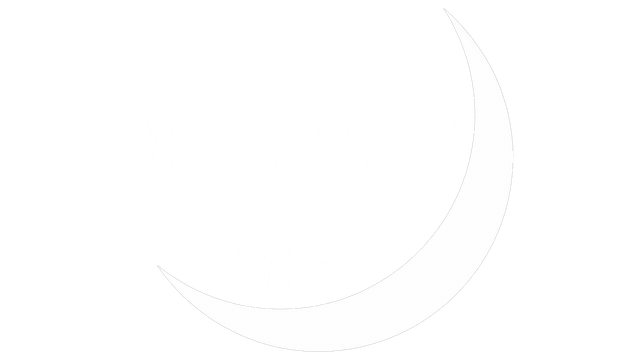 The Wicked Witch of the Web logo